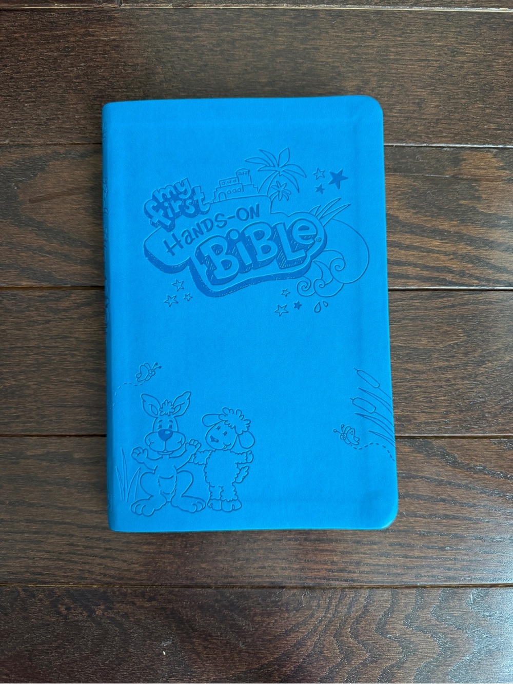 My First Hands-On Bible - Bright Blue Children's Bible